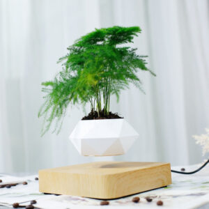 Alternative view of Air Planter