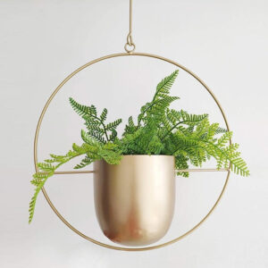 Alternative view of Minimalist Hanging Planter