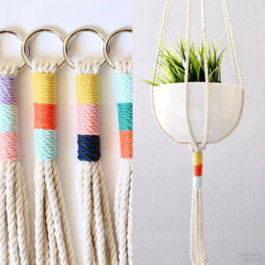 Macrame Cotton Plant Hanger - Multiple Color